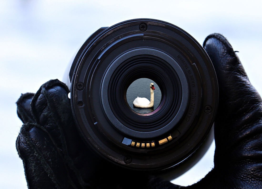 hand-water-nature-camera-photography